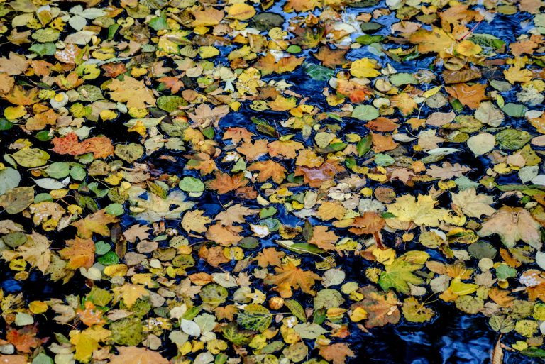 Climate Change Education: Preparing Students for Environmental Challenges